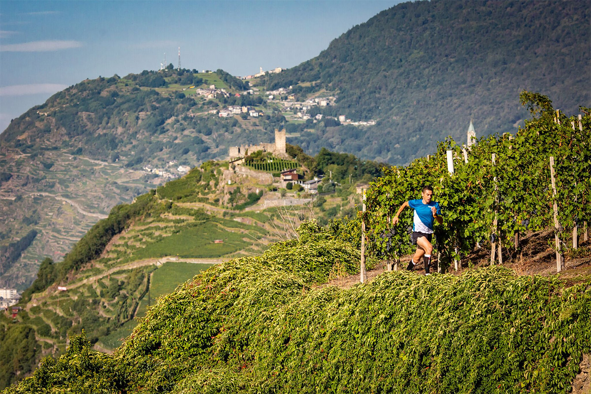 winetrail 2019 rigamonti
